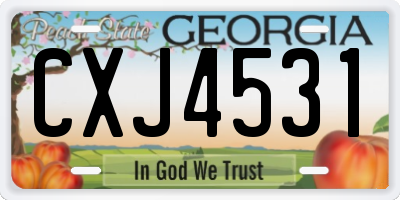 GA license plate CXJ4531