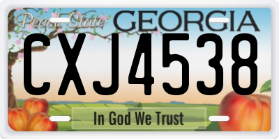 GA license plate CXJ4538