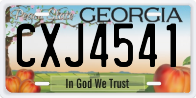 GA license plate CXJ4541
