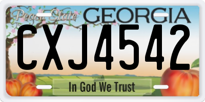 GA license plate CXJ4542