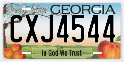 GA license plate CXJ4544