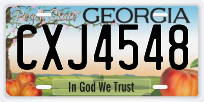 GA license plate CXJ4548