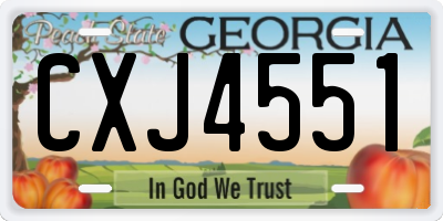 GA license plate CXJ4551