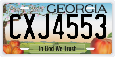 GA license plate CXJ4553