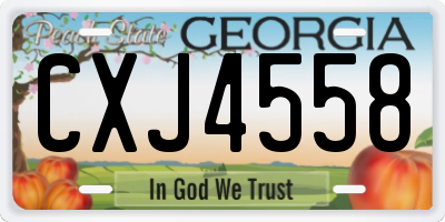 GA license plate CXJ4558
