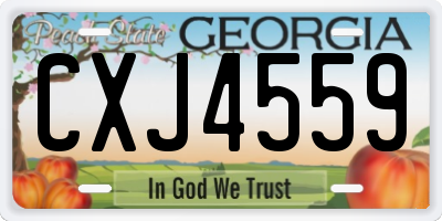 GA license plate CXJ4559