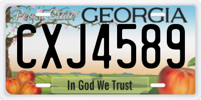 GA license plate CXJ4589