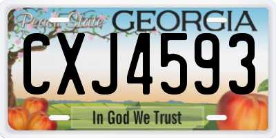 GA license plate CXJ4593