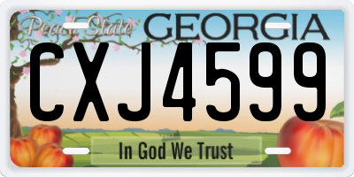 GA license plate CXJ4599