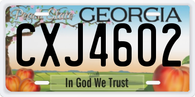 GA license plate CXJ4602