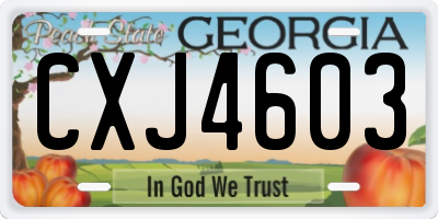 GA license plate CXJ4603