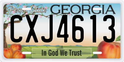 GA license plate CXJ4613