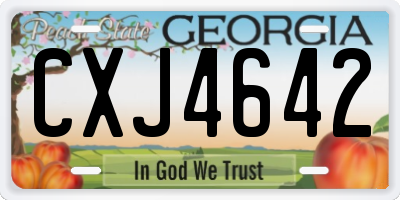 GA license plate CXJ4642