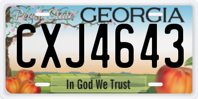 GA license plate CXJ4643