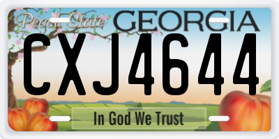GA license plate CXJ4644
