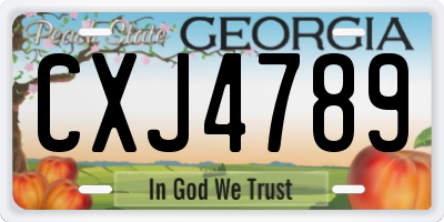 GA license plate CXJ4789