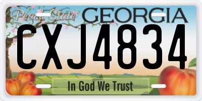 GA license plate CXJ4834