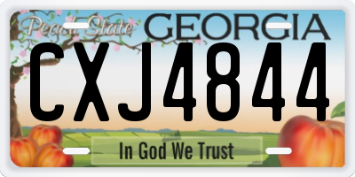 GA license plate CXJ4844