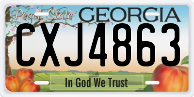GA license plate CXJ4863