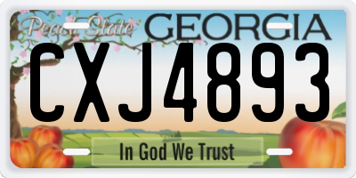 GA license plate CXJ4893