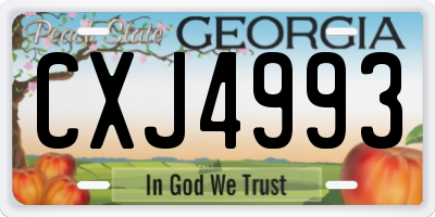 GA license plate CXJ4993