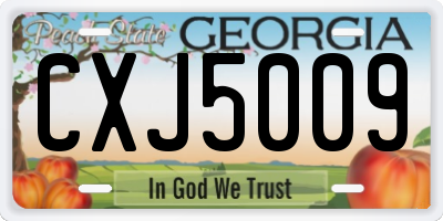 GA license plate CXJ5009