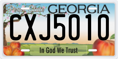 GA license plate CXJ5010
