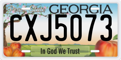 GA license plate CXJ5073