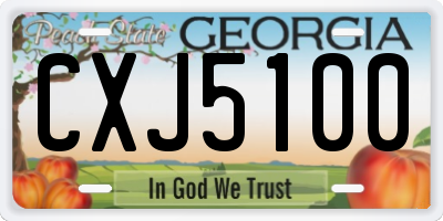 GA license plate CXJ5100