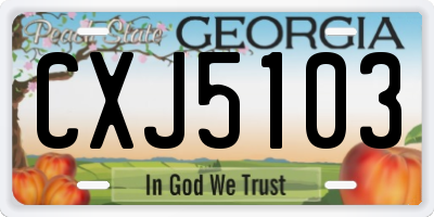 GA license plate CXJ5103