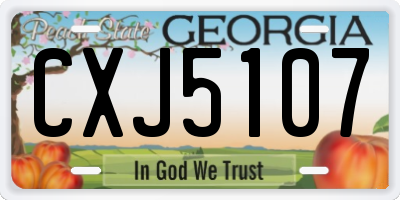 GA license plate CXJ5107