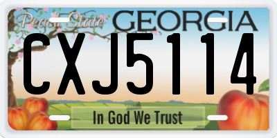 GA license plate CXJ5114