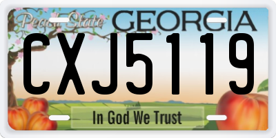 GA license plate CXJ5119