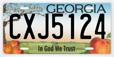 GA license plate CXJ5124