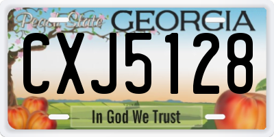 GA license plate CXJ5128