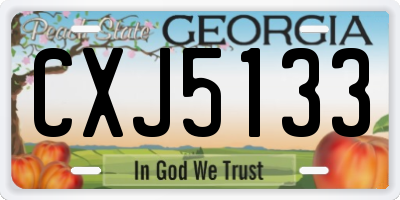GA license plate CXJ5133