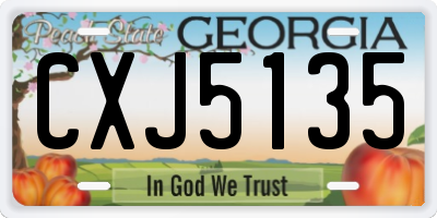 GA license plate CXJ5135