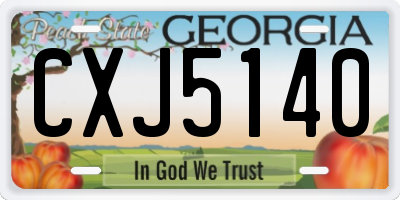 GA license plate CXJ5140