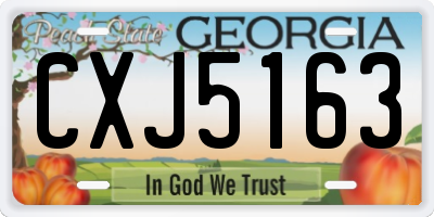 GA license plate CXJ5163