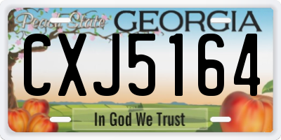GA license plate CXJ5164