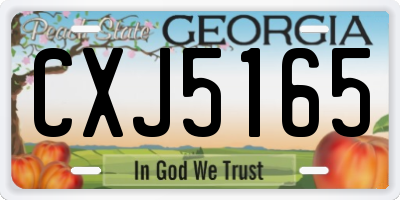 GA license plate CXJ5165