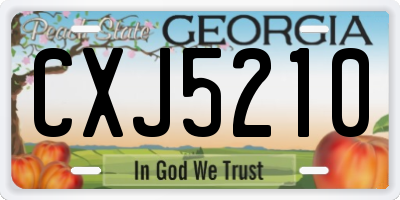 GA license plate CXJ5210