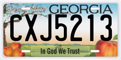 GA license plate CXJ5213