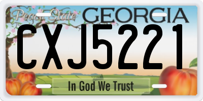 GA license plate CXJ5221