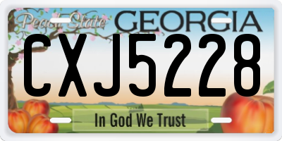 GA license plate CXJ5228