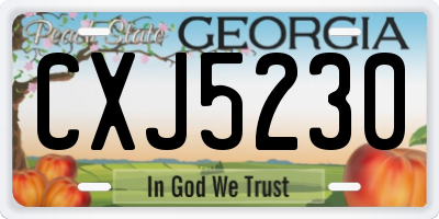 GA license plate CXJ5230