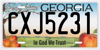 GA license plate CXJ5231