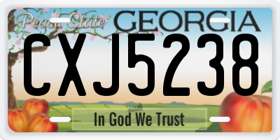 GA license plate CXJ5238