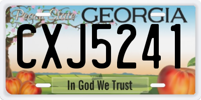GA license plate CXJ5241