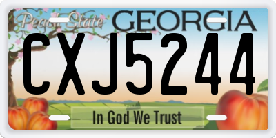GA license plate CXJ5244